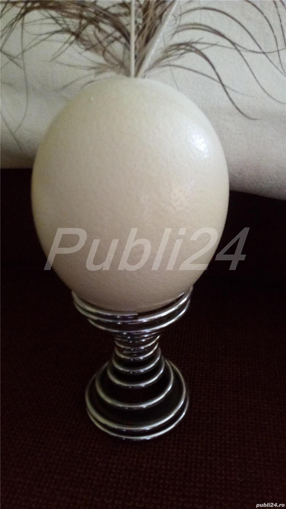 OU de strut pt pictat ,vopsit