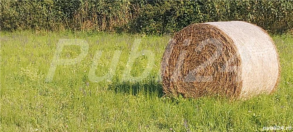 Seminte iarba coasa pentru zone secetoase 10 kg