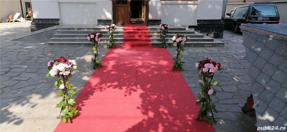 Arcada, Covor Rosu, Stalpi Alexandria, Teleorman