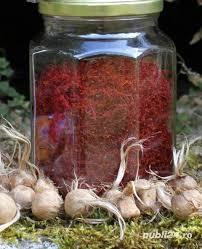 Sofran în pistile Crocus Sativus crescut in BUCOVINA - Categoria I