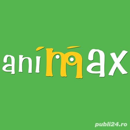 Medic veterinar sibiu