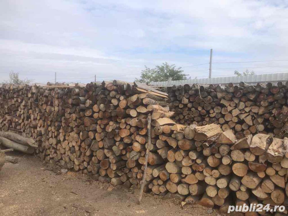 Lemn de foc fag uscat (metri steri)