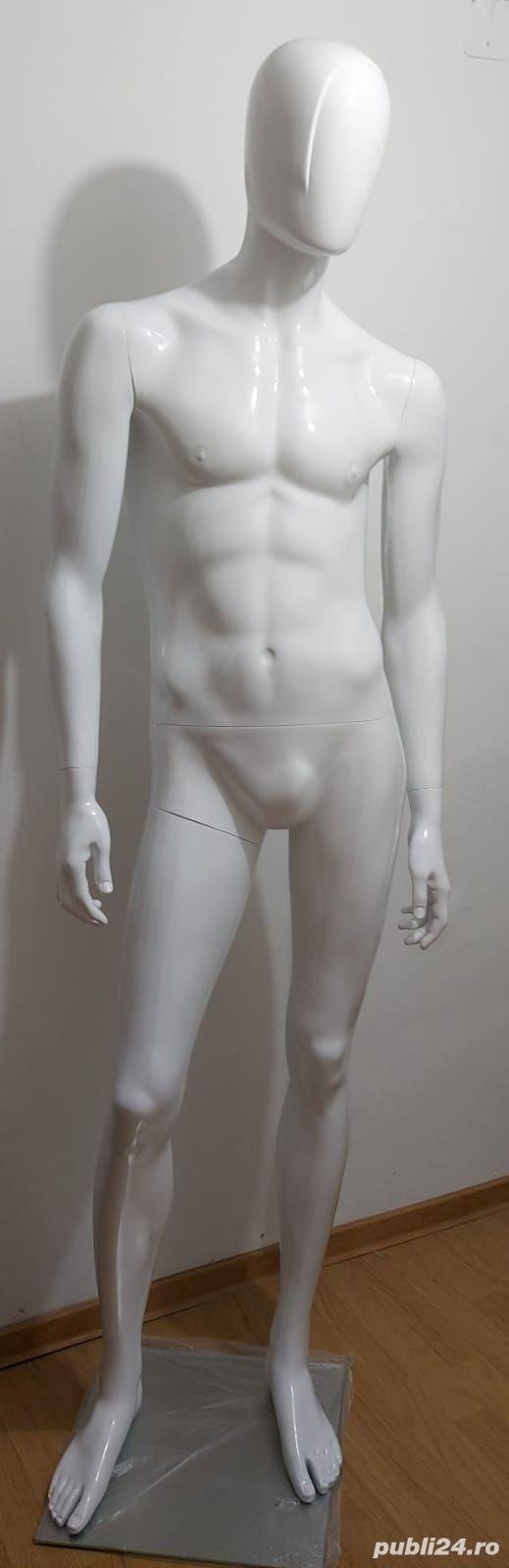 Vand manechine Barbat din fibra de sticla