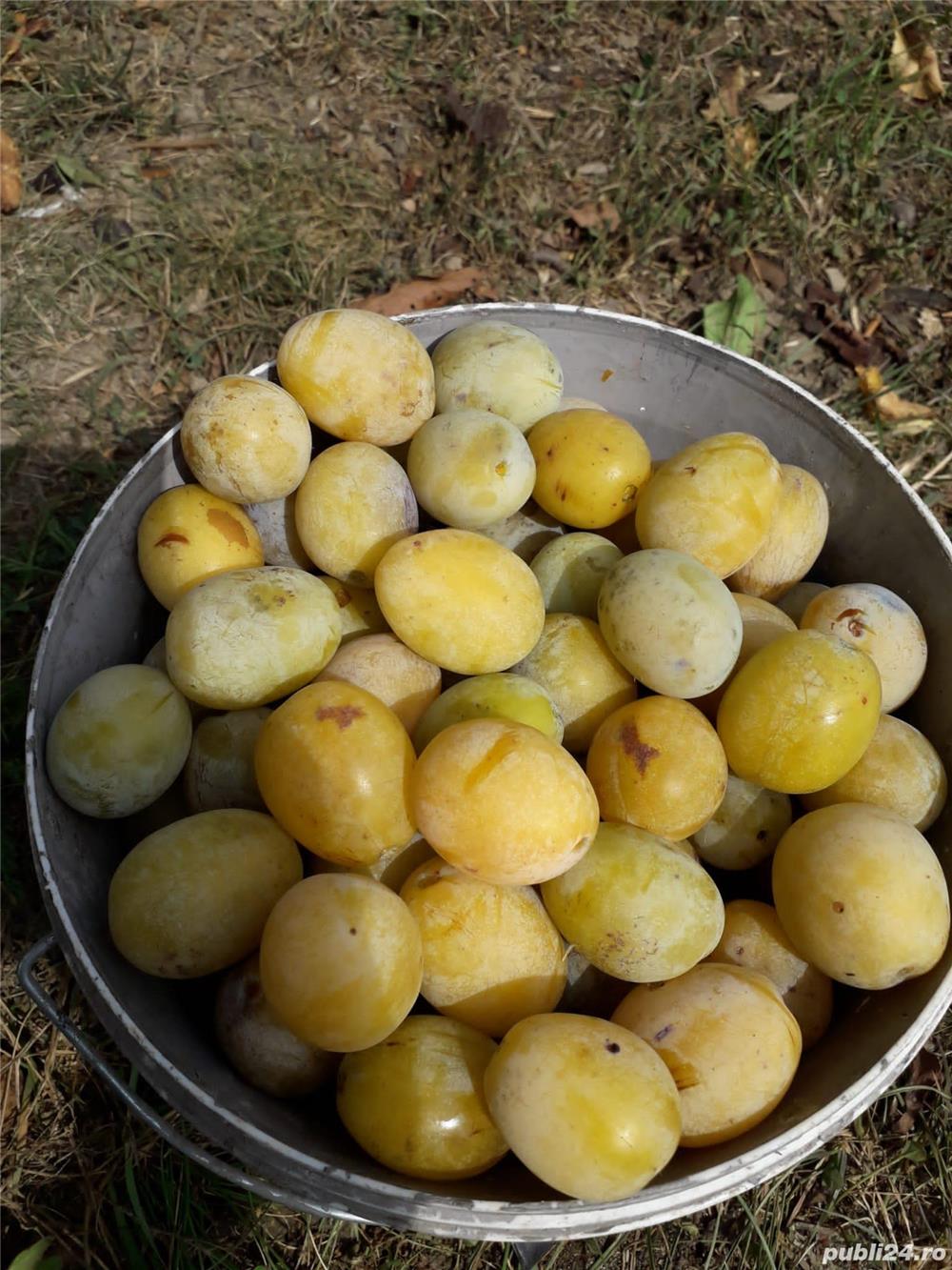 Vand tuica din prune de calitate exceptionala