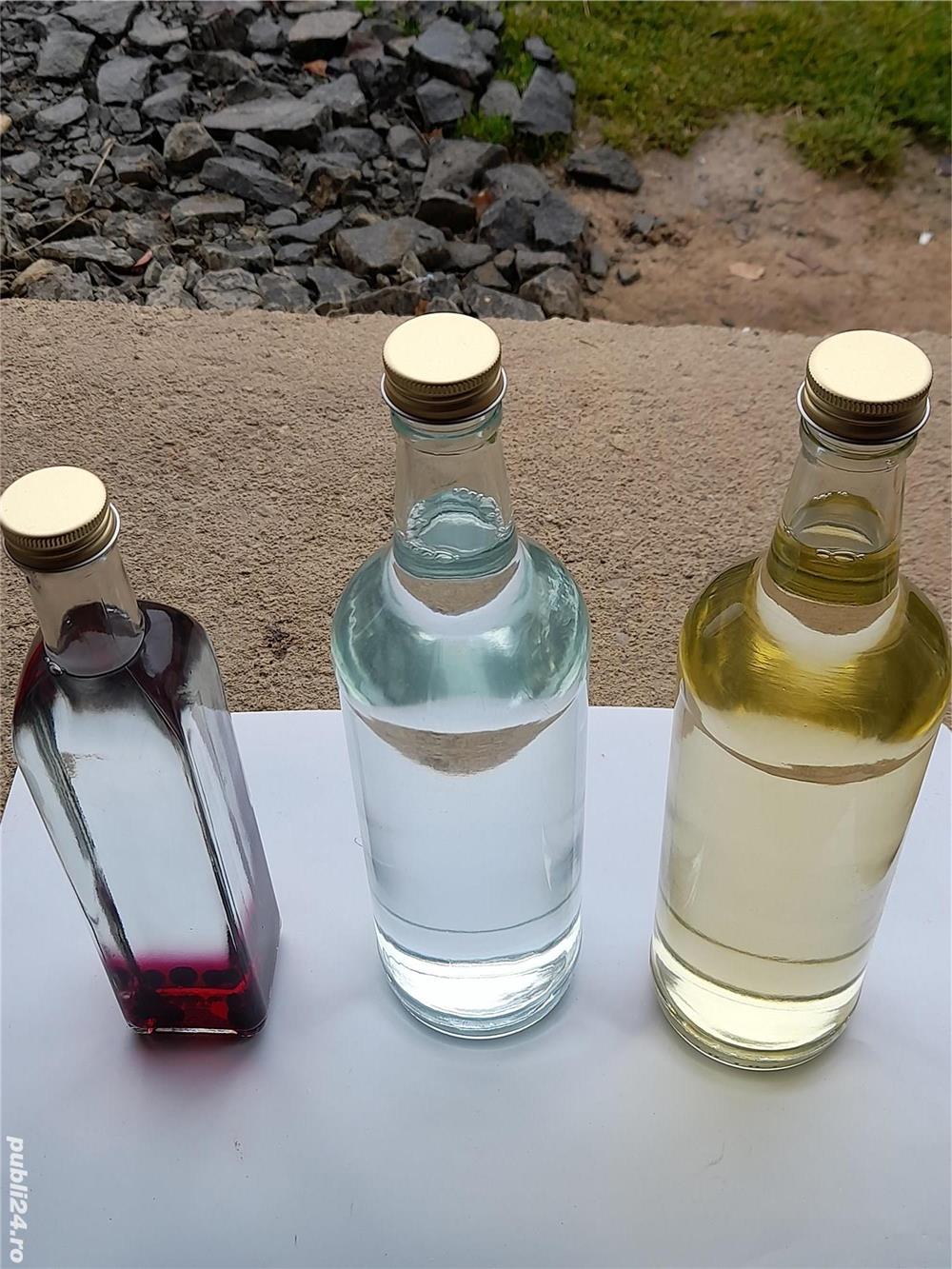 Horinca de Prune & afine din Maramureș 