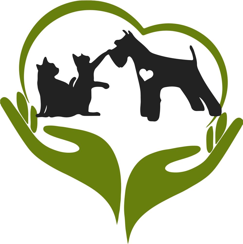 Angajam personal pentru ambalare colete in depozit magazin online