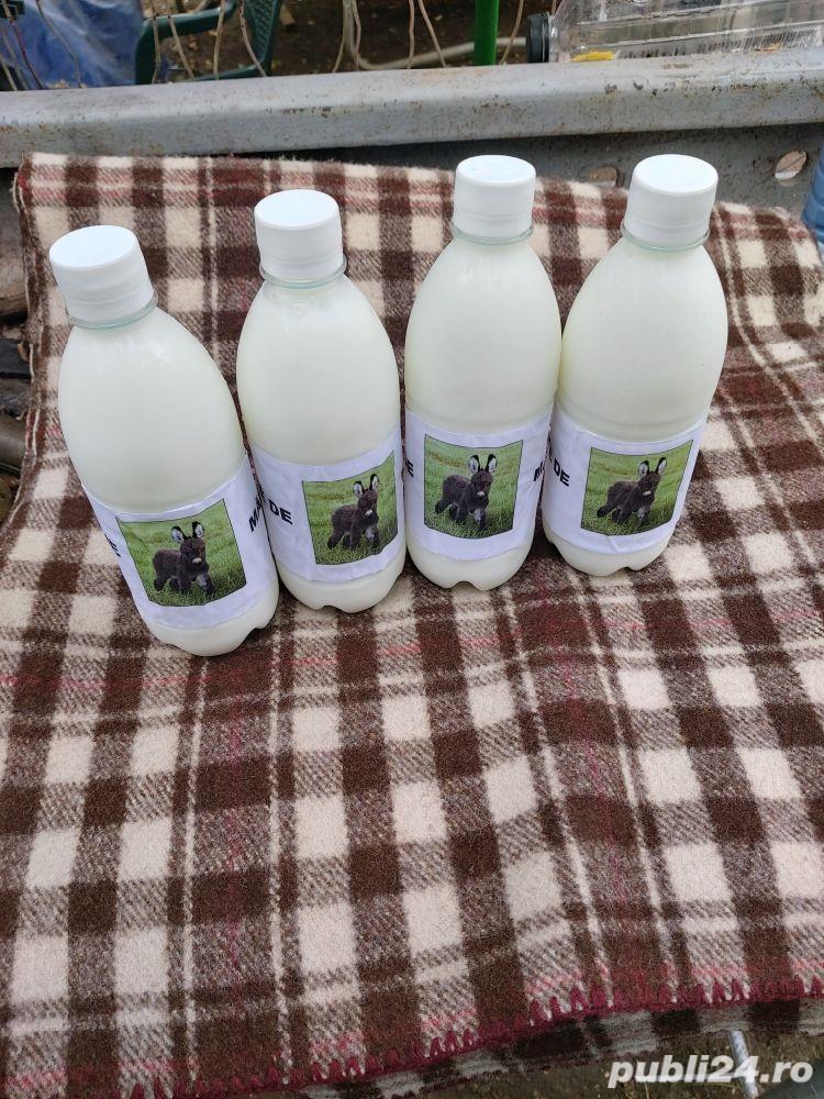 vand lapte de măgărița