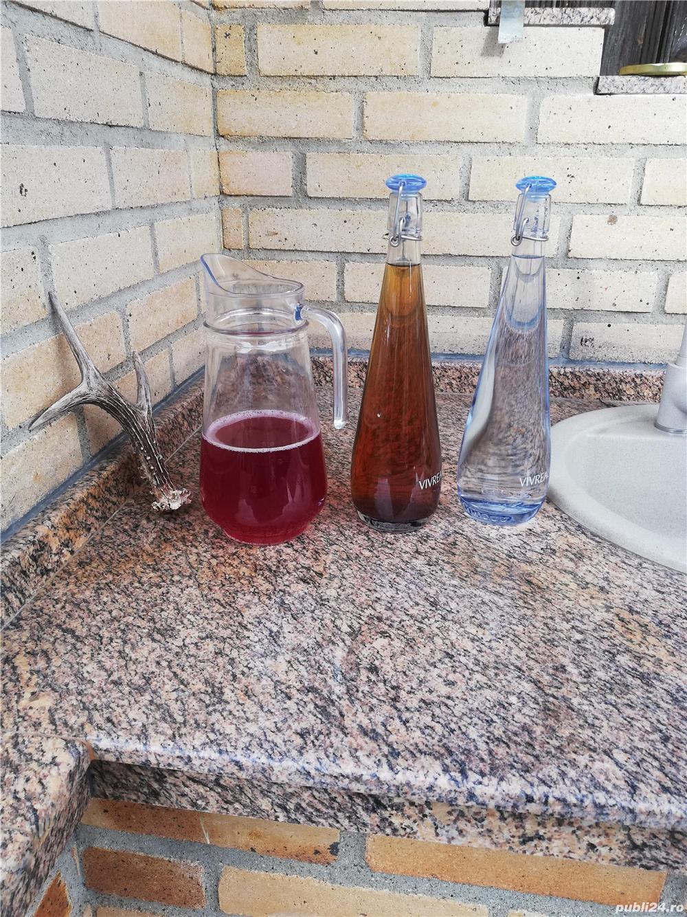 Palinca, vin, țuică