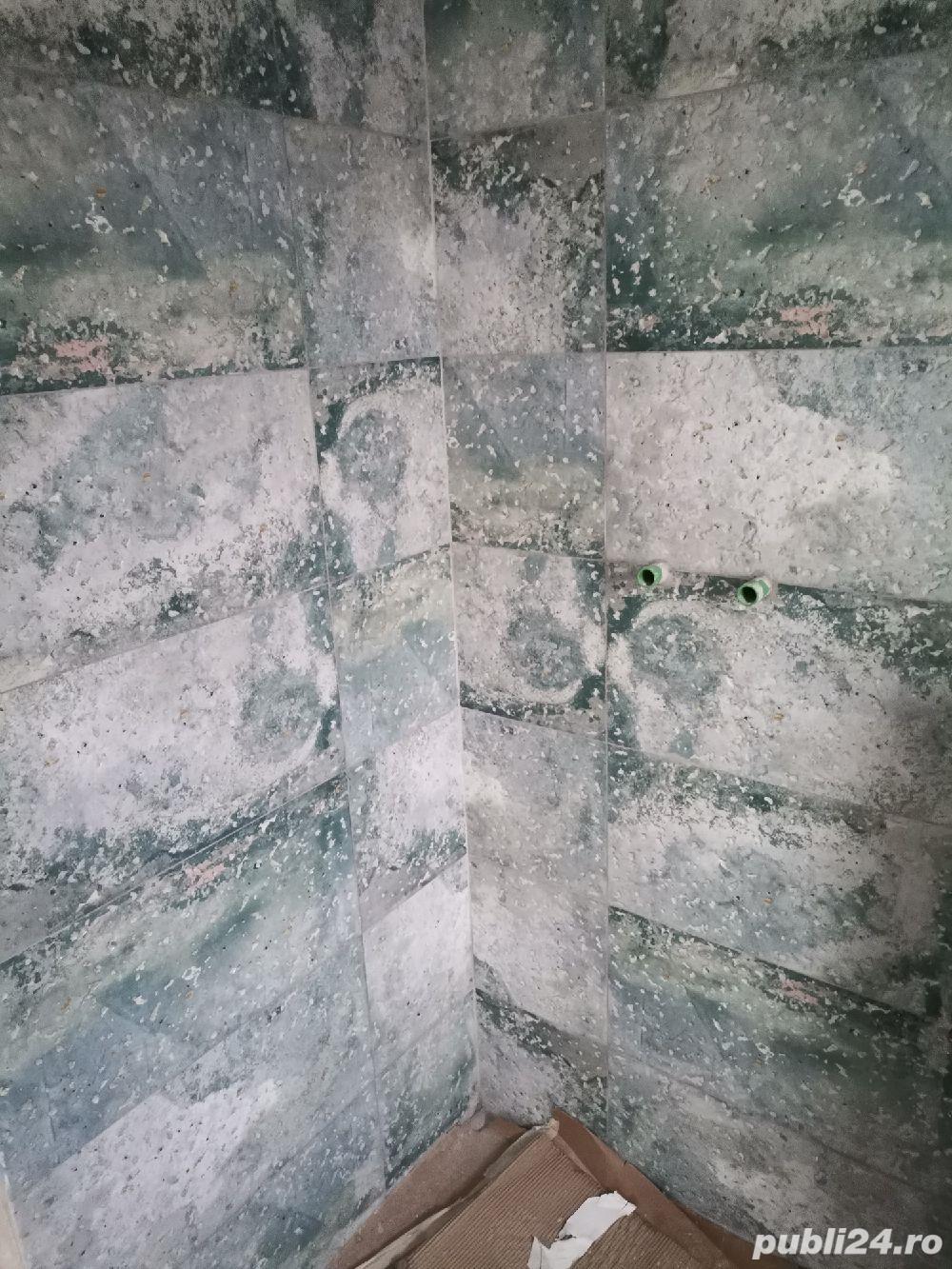 Montaj gresie și faianță de bună calitate 