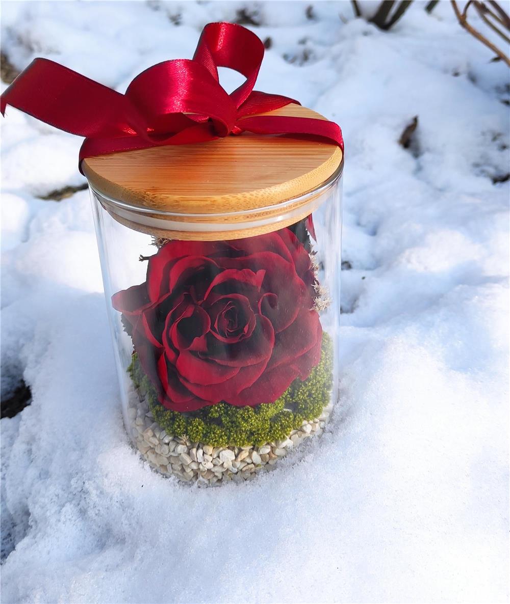 Trandafiri criogenati ! 