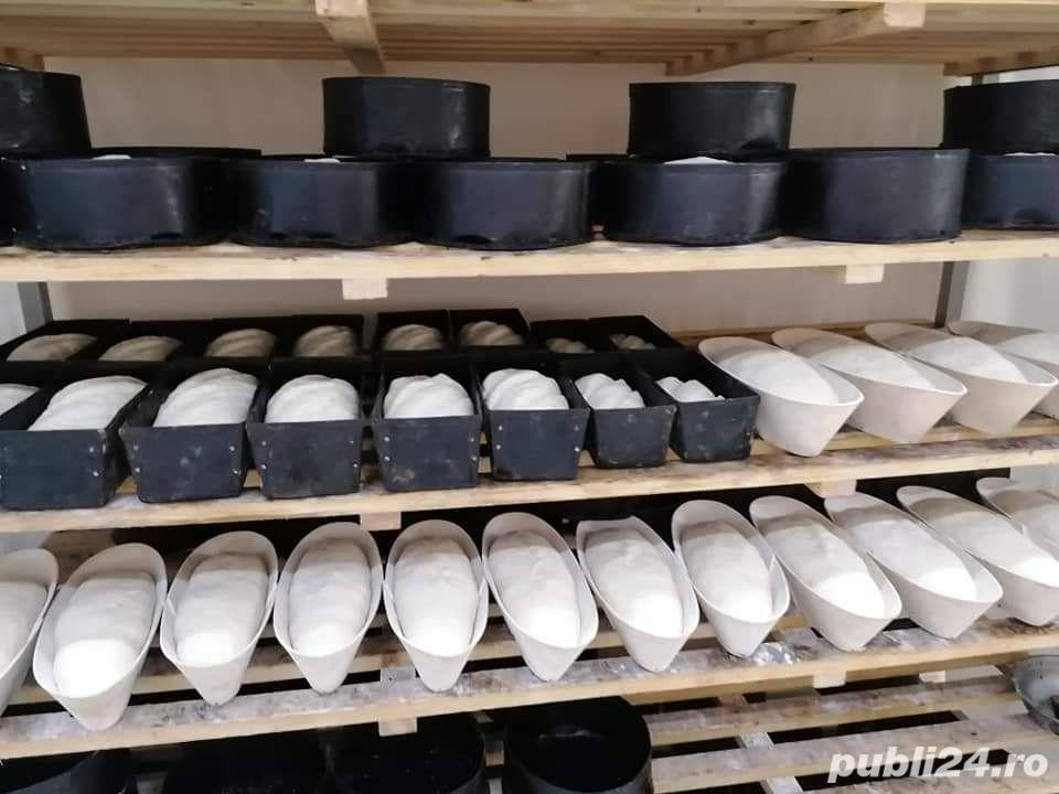 Afacere brutarie,patiserie