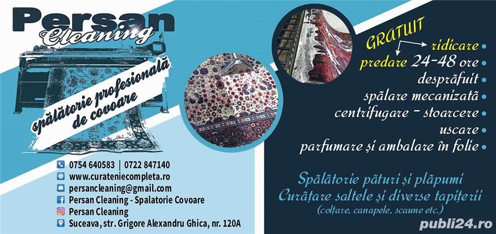 Spalatorie profesionala covoare Suceava