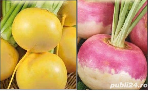 20seminte napi comestibili galbeni sau roz cu alb