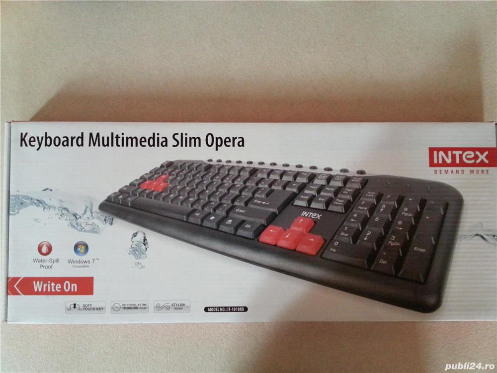 Tastaturi si mouse-uri 