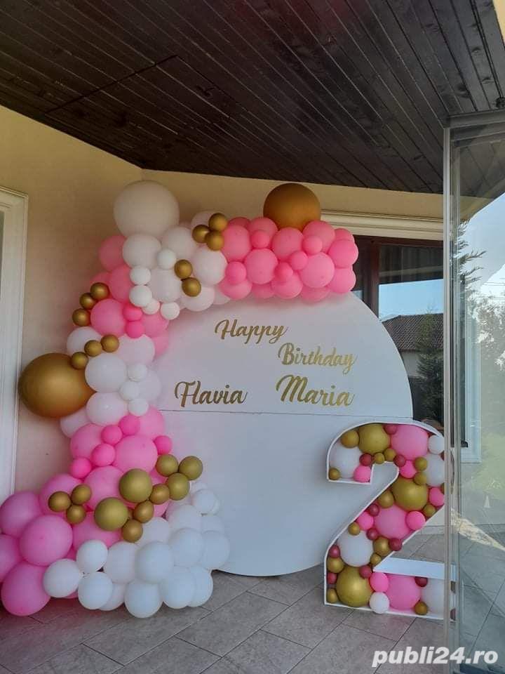 Decoruri din Baloane 