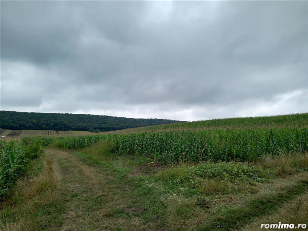 Vand 58 arii teren agricol între Tg.Mures si Reghin