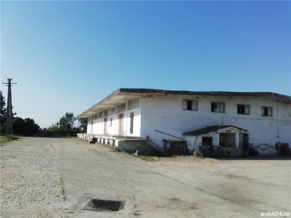 Vând, baza de recepție cereala, autorizată, linie CF, pentru proiect 4.1.1