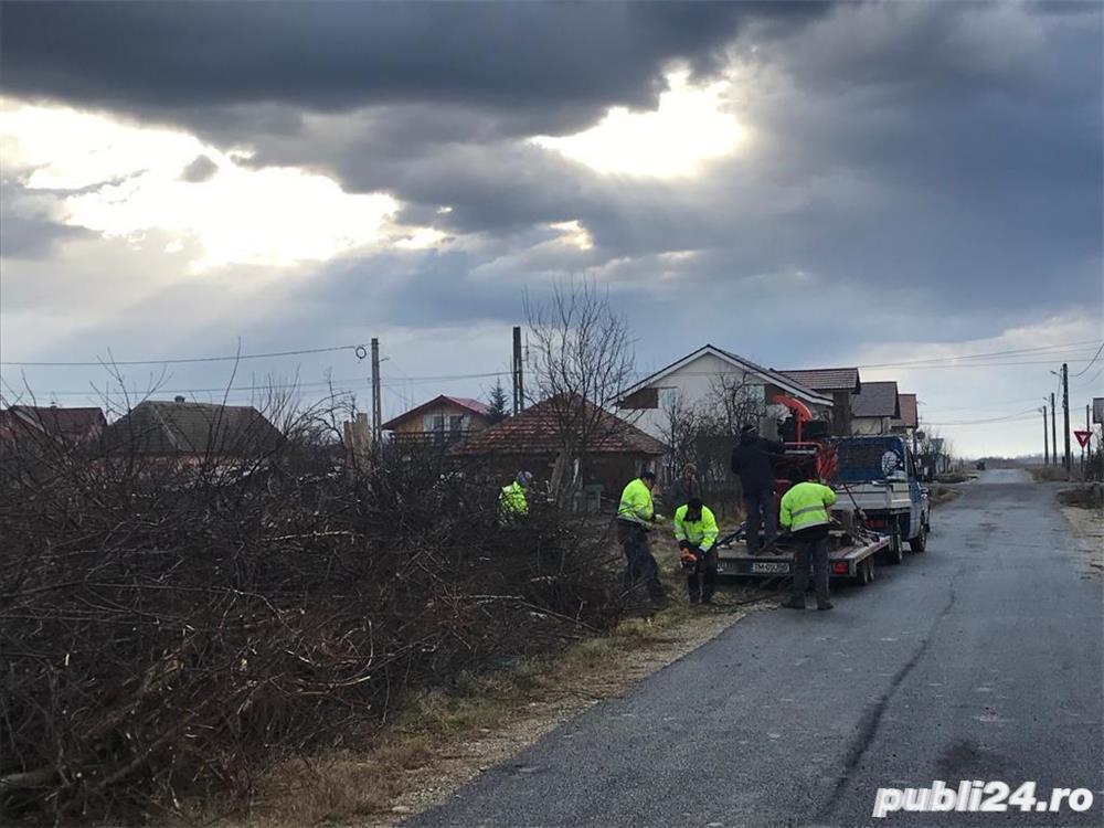 Defisari  x toaletare copacii    x tocator crengi x ridicarea resturilor vegetale 25 ani experienta 