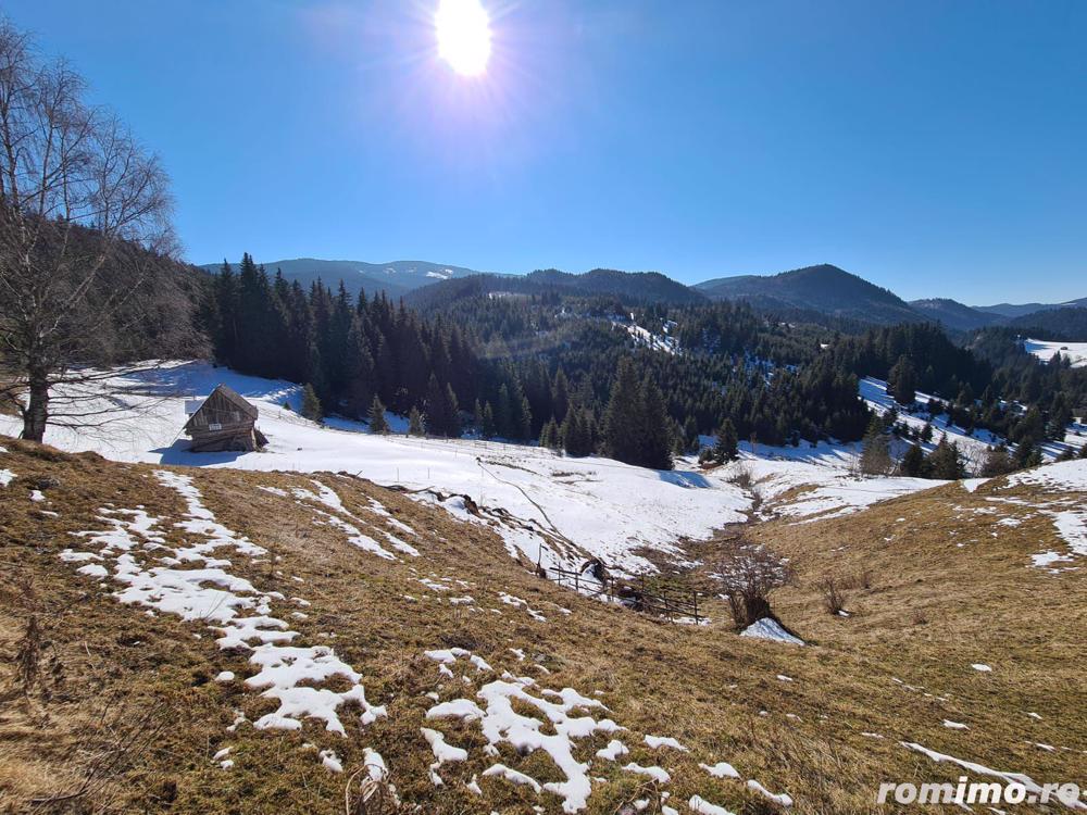 Teren situat langa padure de Vanzare