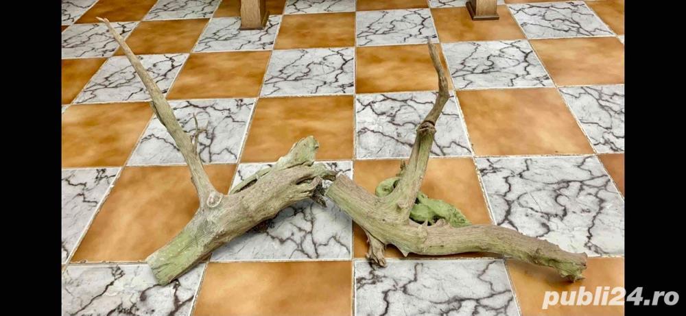 Lemne pentru acvariu