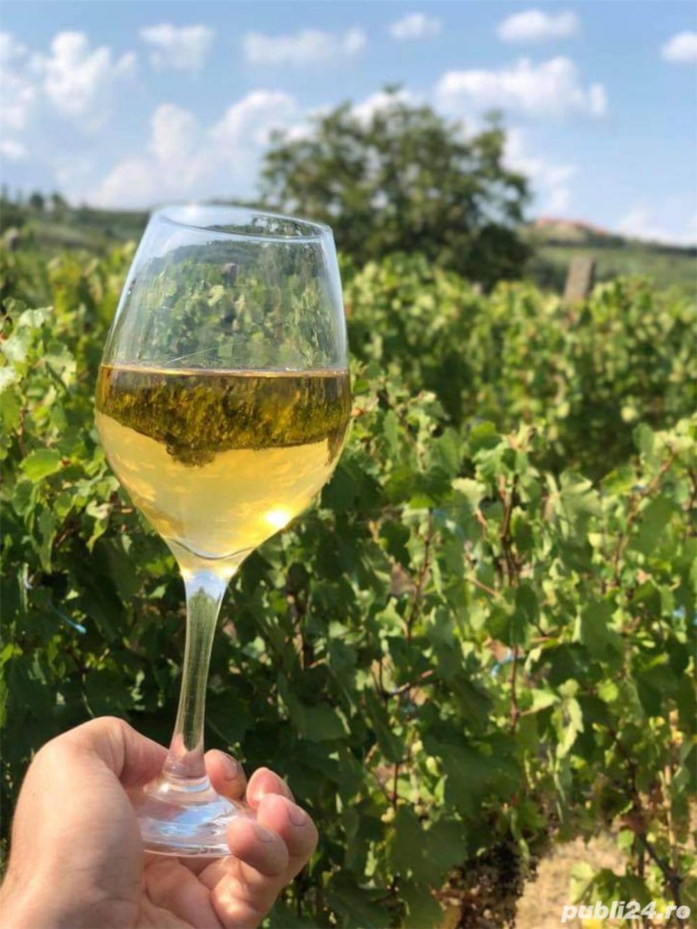 Vin de Dragasani - Calitate Excelenta