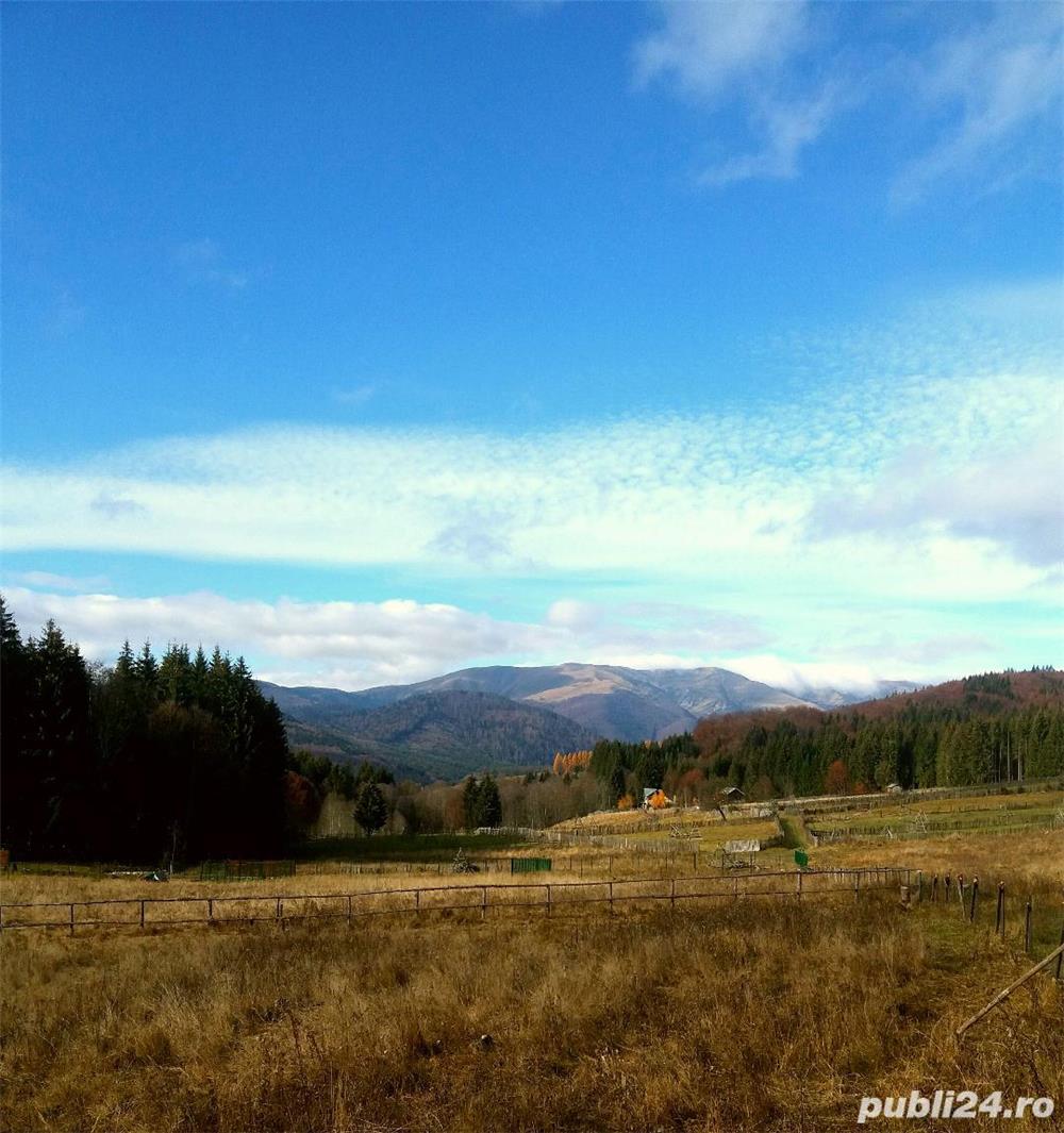 Teren intravilan Valea Doftanei, zona superba, a se vedea foto