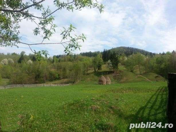 Teren 21.776 mp - Zona Sălătruc, jud. Suceava