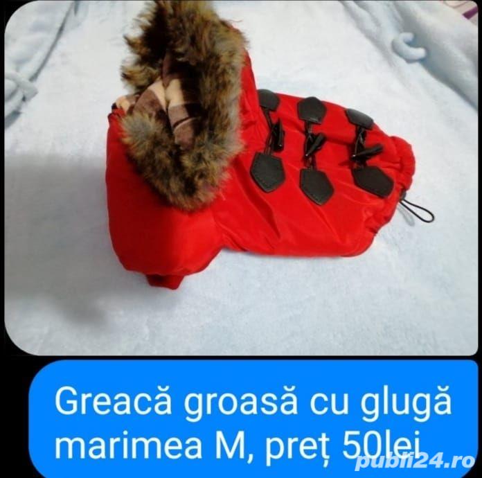 vand hainute de catei mici au fost cumparate di germania