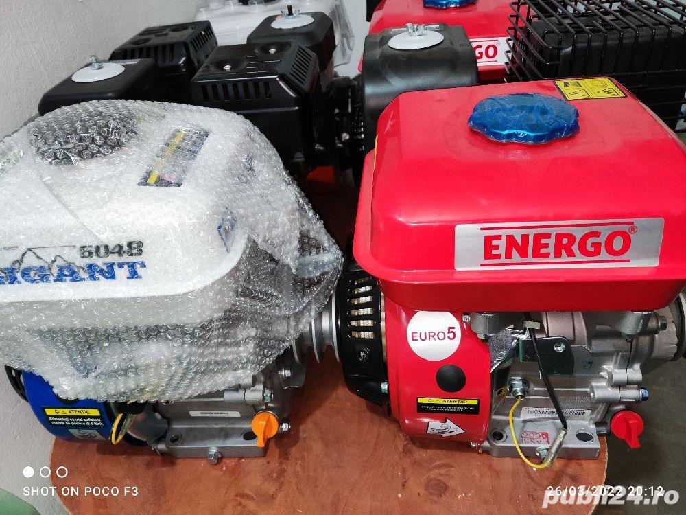Motor motosapa-motocultor Energo