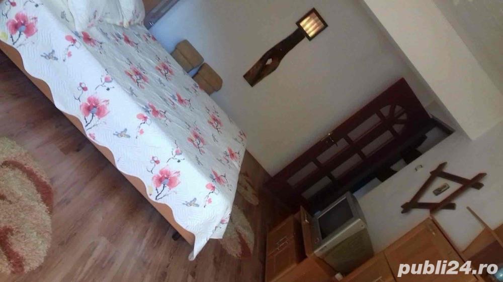 Apartament Baile Herculane