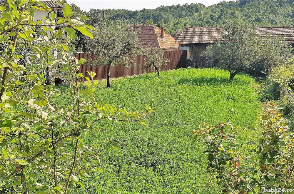 Teren intravilan 2000 mp + construcții existente, comuna Bătrâni, Prahova