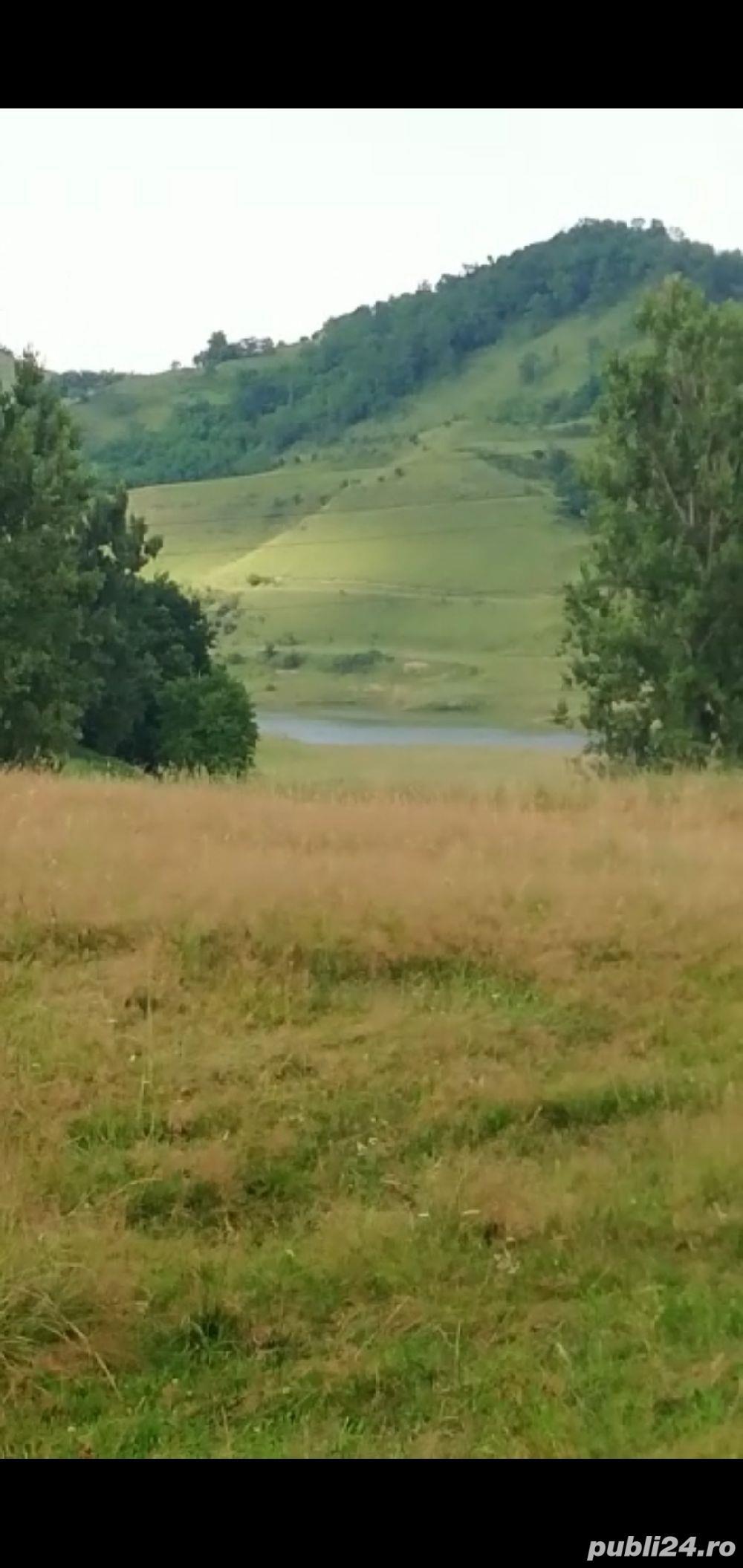 Teren intravilan si extravilan Mediaș Jud Sibiu