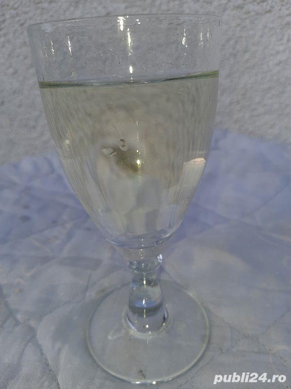 Țuica de prune de alunis,din anii 2019-2023