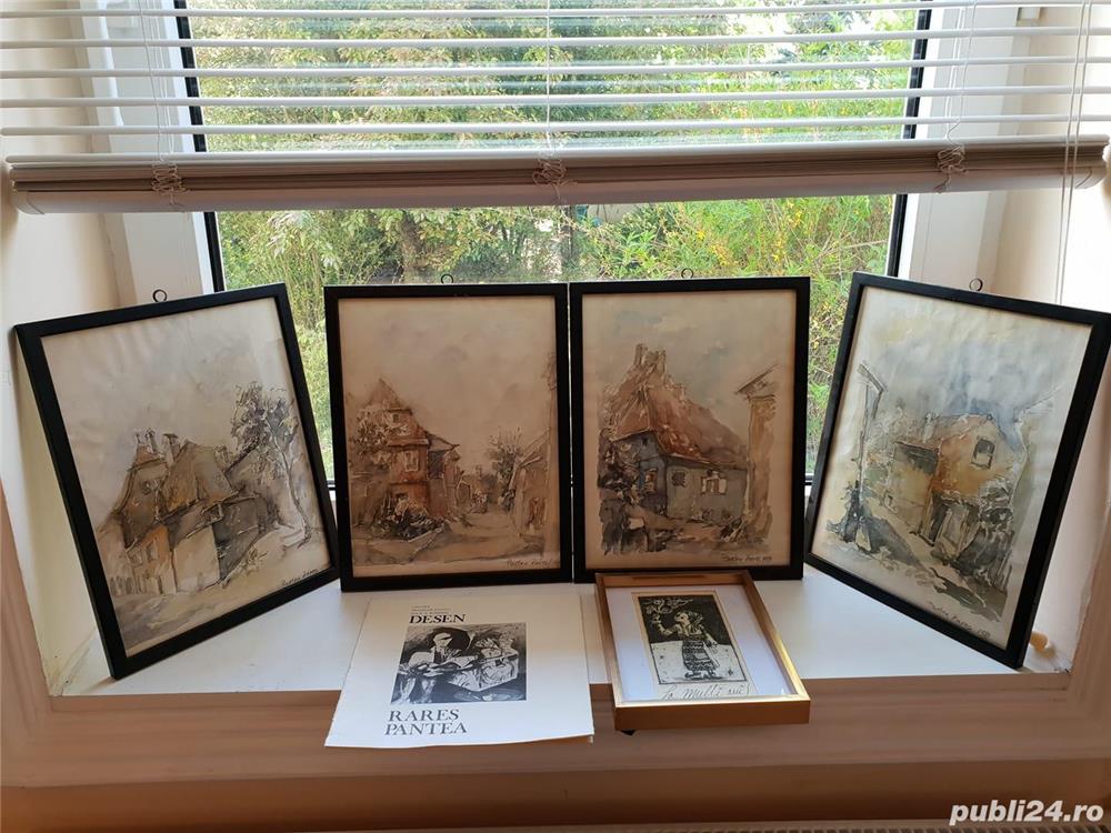 Pantea Rares Cristian colectie tablouri-60bucati,INVESTITIE