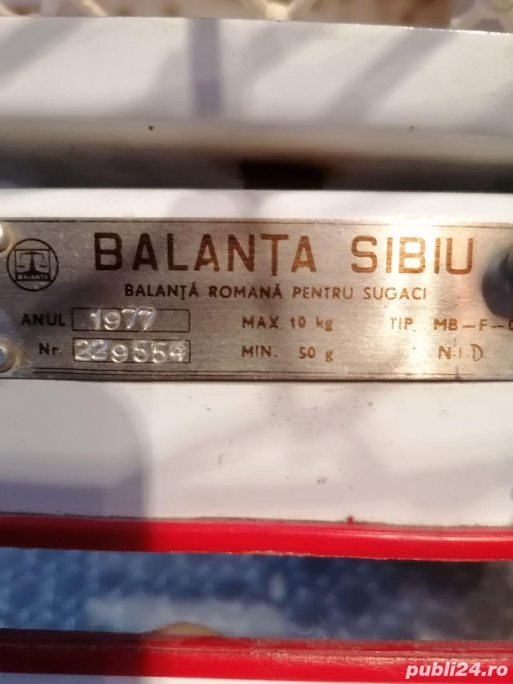 Cantar sugaci 1977, vintage 