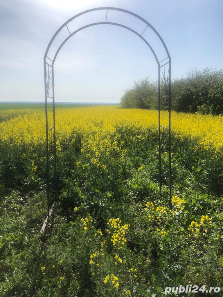 Pergola flori 1,50x2,50m