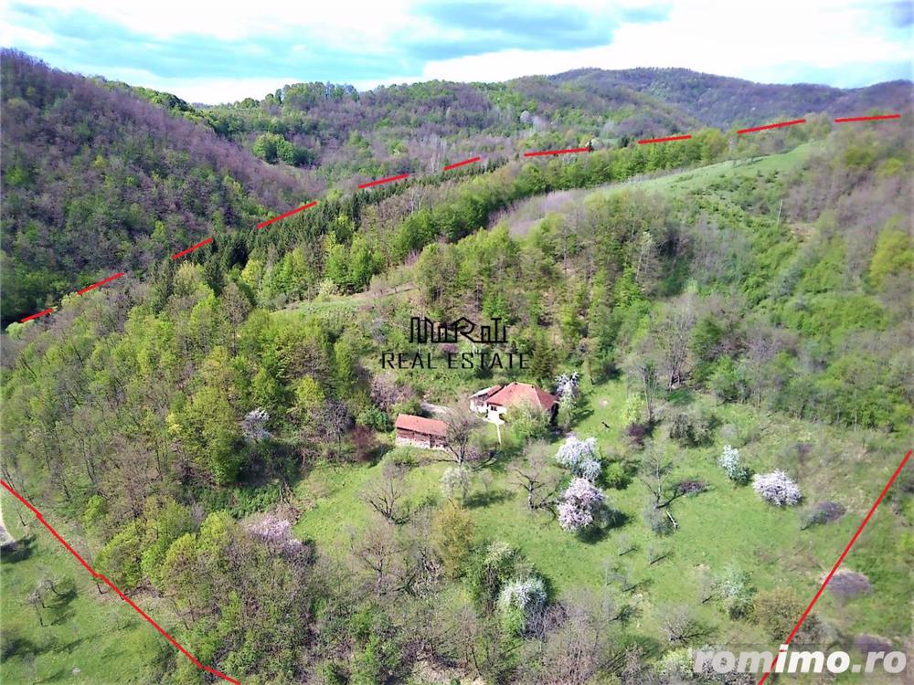 Domeniu de 7 ha in Apuseni - Criscior, Hunedoara