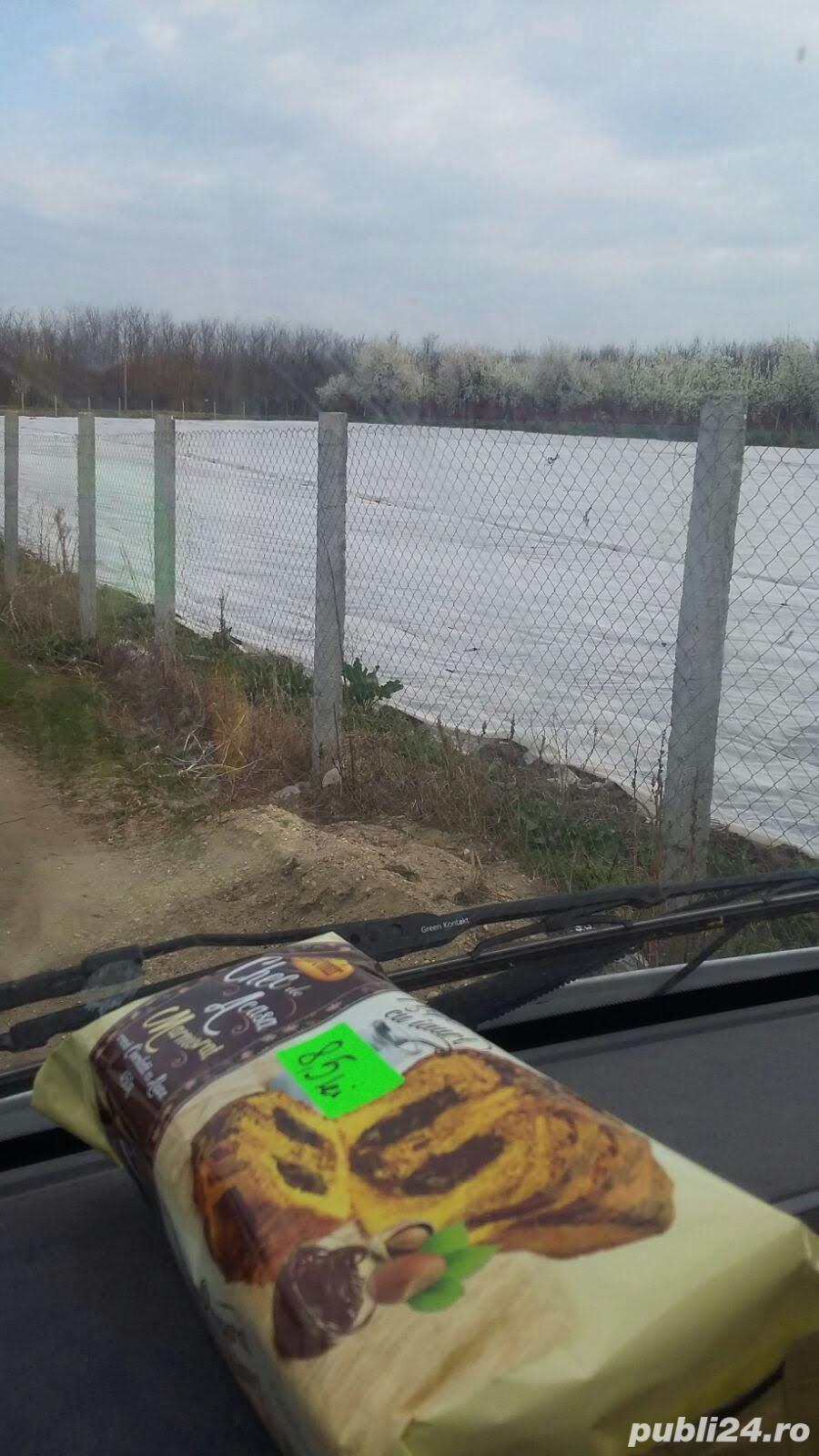 Vand teren intravilan - 5000 m2, racordat la reteaua electrica