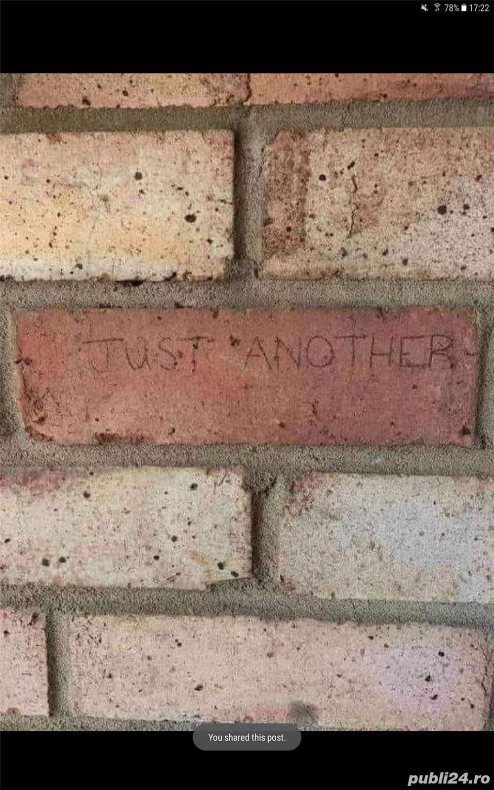 Servicii de întreținere spații verzi