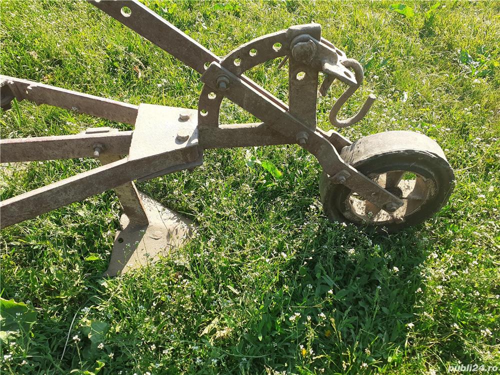 Prasitoare functionala sau obiect ornamental