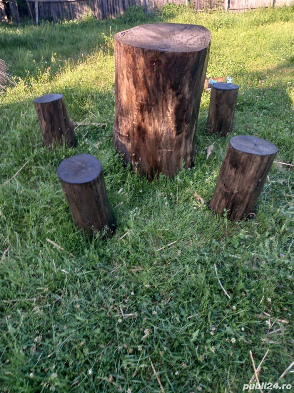 Set masa si cinci scaune de gradina