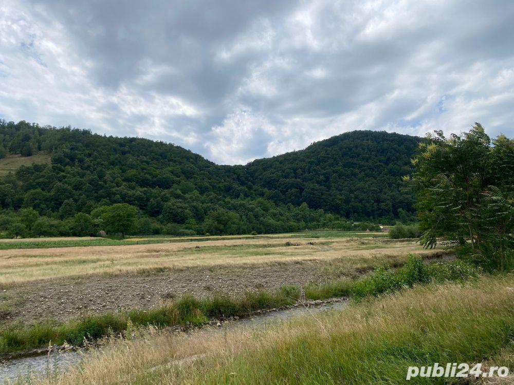 Vind teren pentru cabana  la ROȘCANI  spre BĂTRÂNA DEVA  