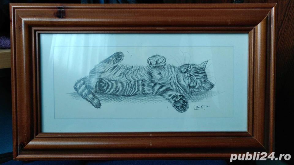 Tablou in creion felina pisicuta jucausa rama din lemn / Decoratii interioare
