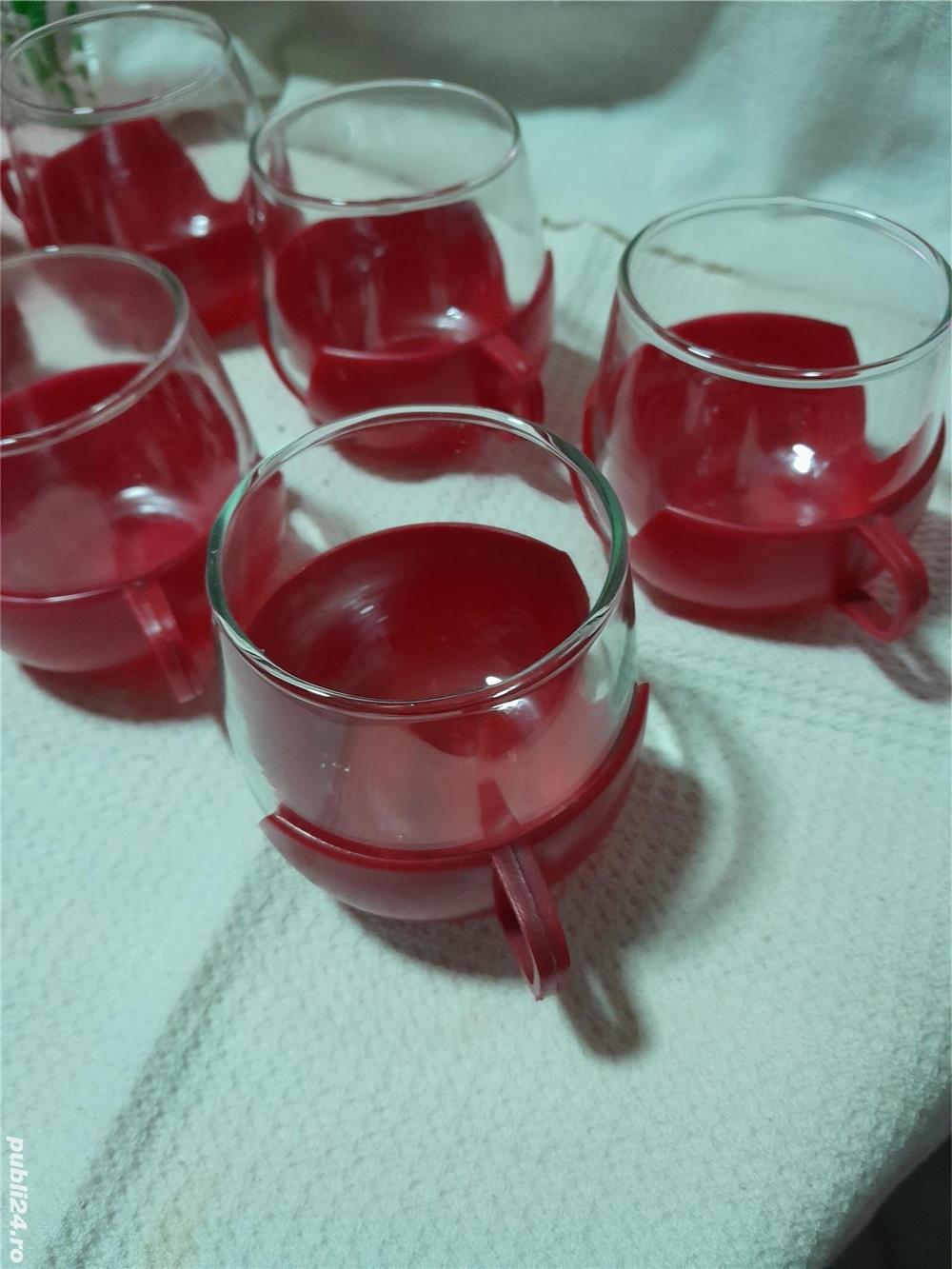 Cescute sticla în suport de plastic  6 buc.