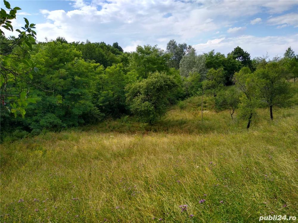 Vând loc ideal de cabană Romosel, 4,700mp, la drum, preț 3,5 Euro