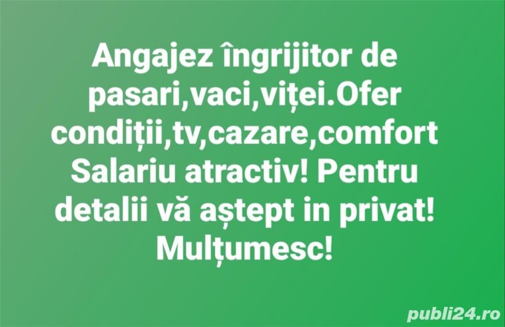 Angajez om la ferma de pasari si animale Angajez om la ferma de pasari si animale