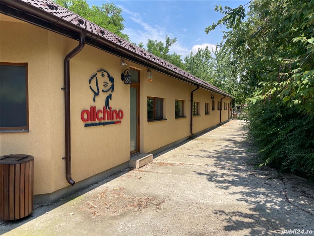 Pensiune câini DN1 Ploiesti-București 