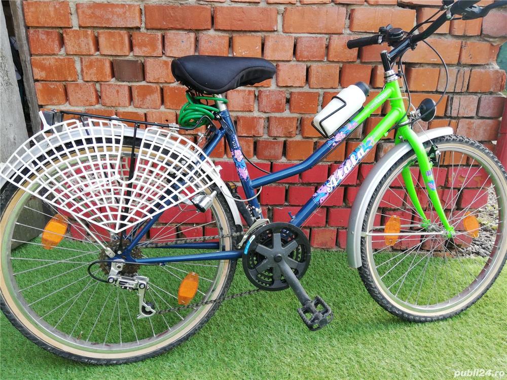 Bicicleta pentru dama