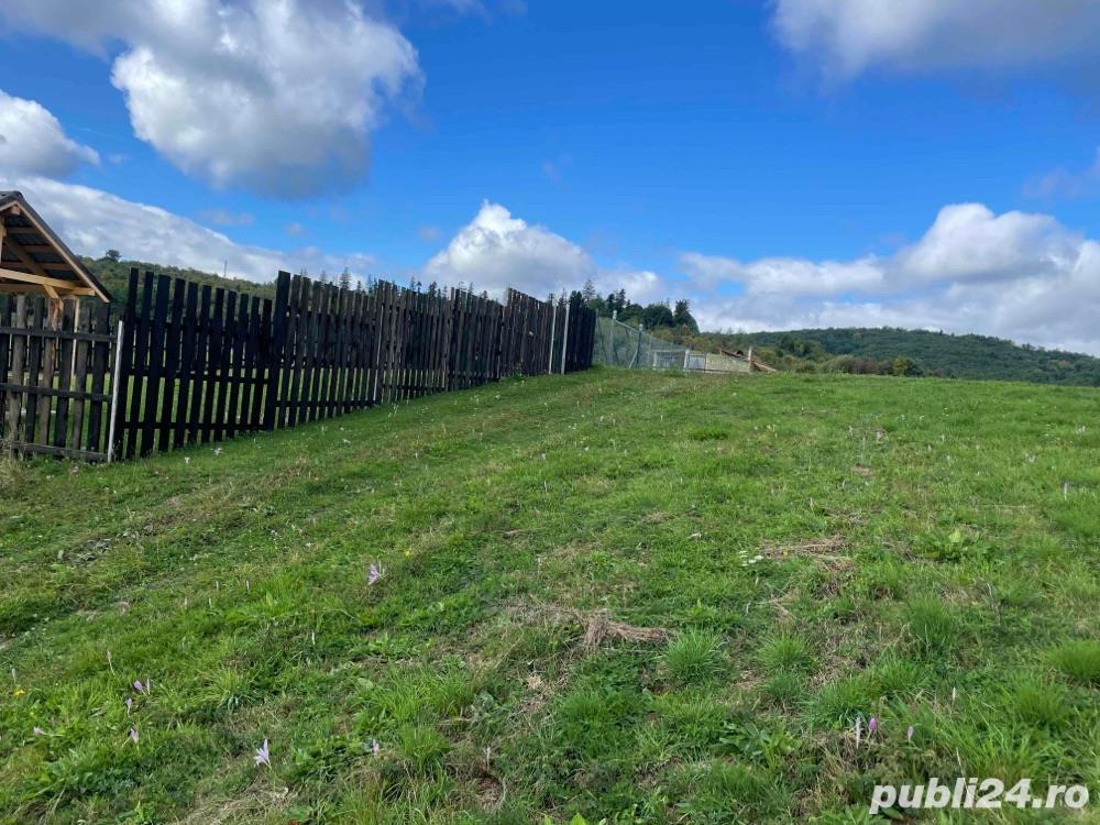 Teren Mina 1 Mai Parcele 