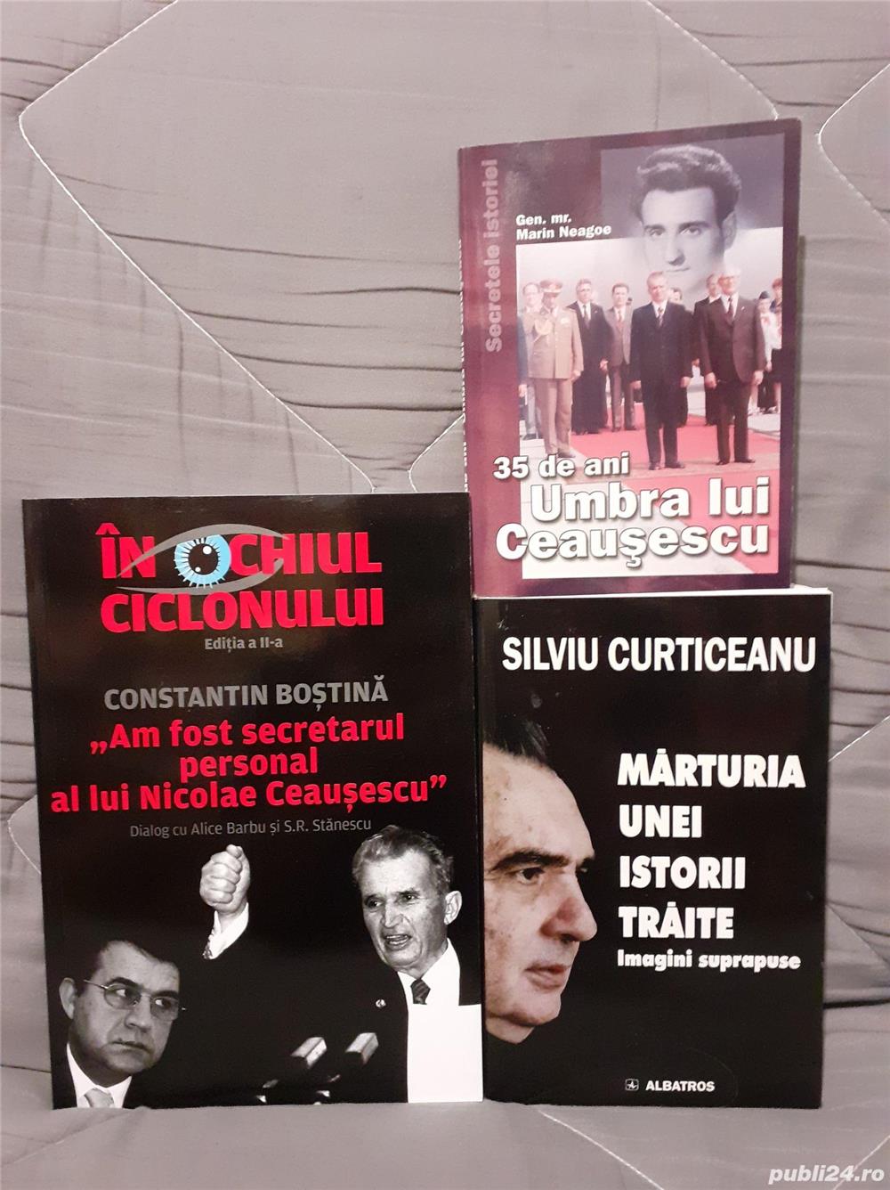 Secretarul Umbra Consilierul lui Ceausescu-Curticeanu Neagoe Bostina (3 vol)